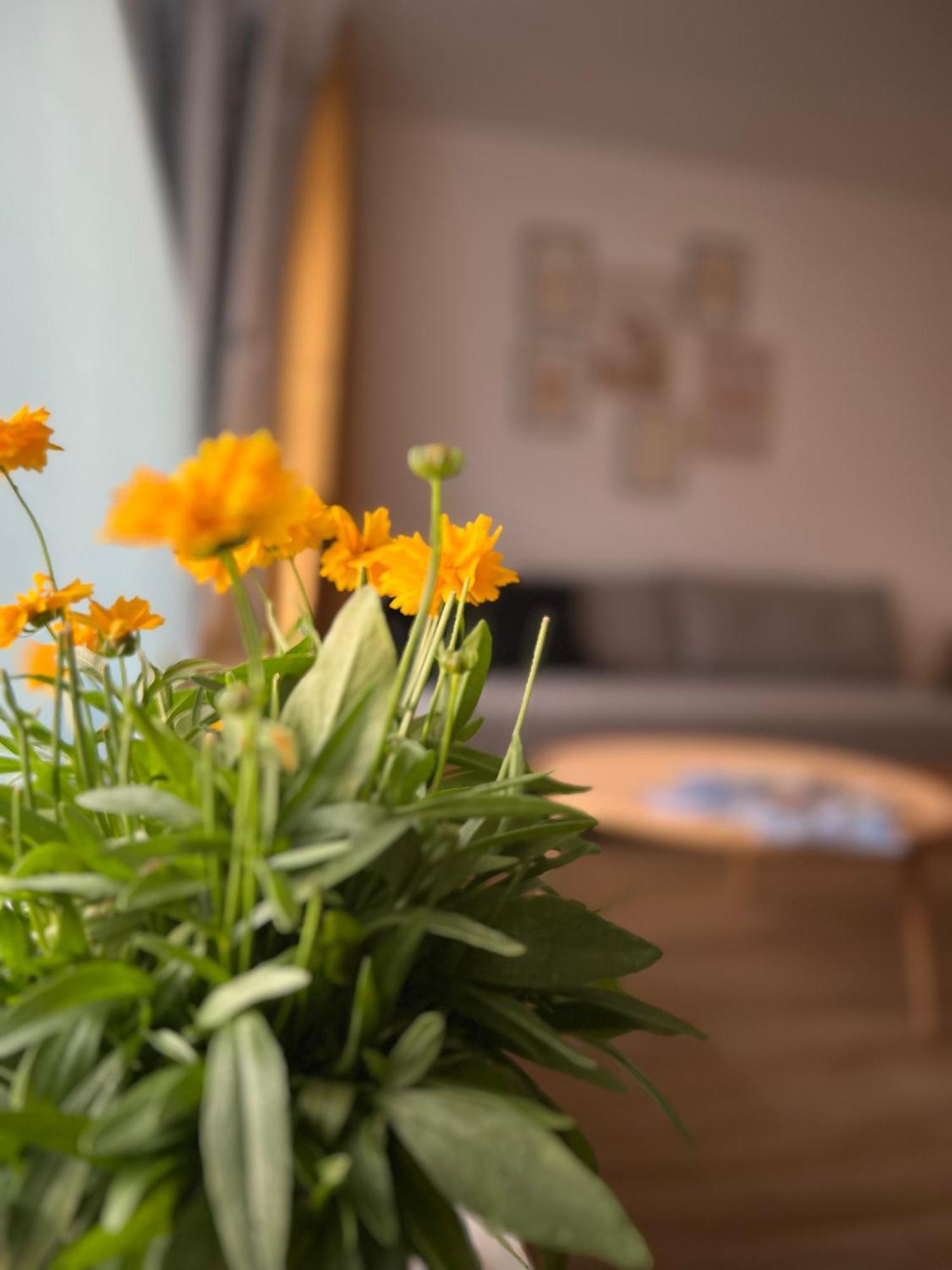 Ferienwohnung Sonneck Oberstaufen Εξωτερικό φωτογραφία
