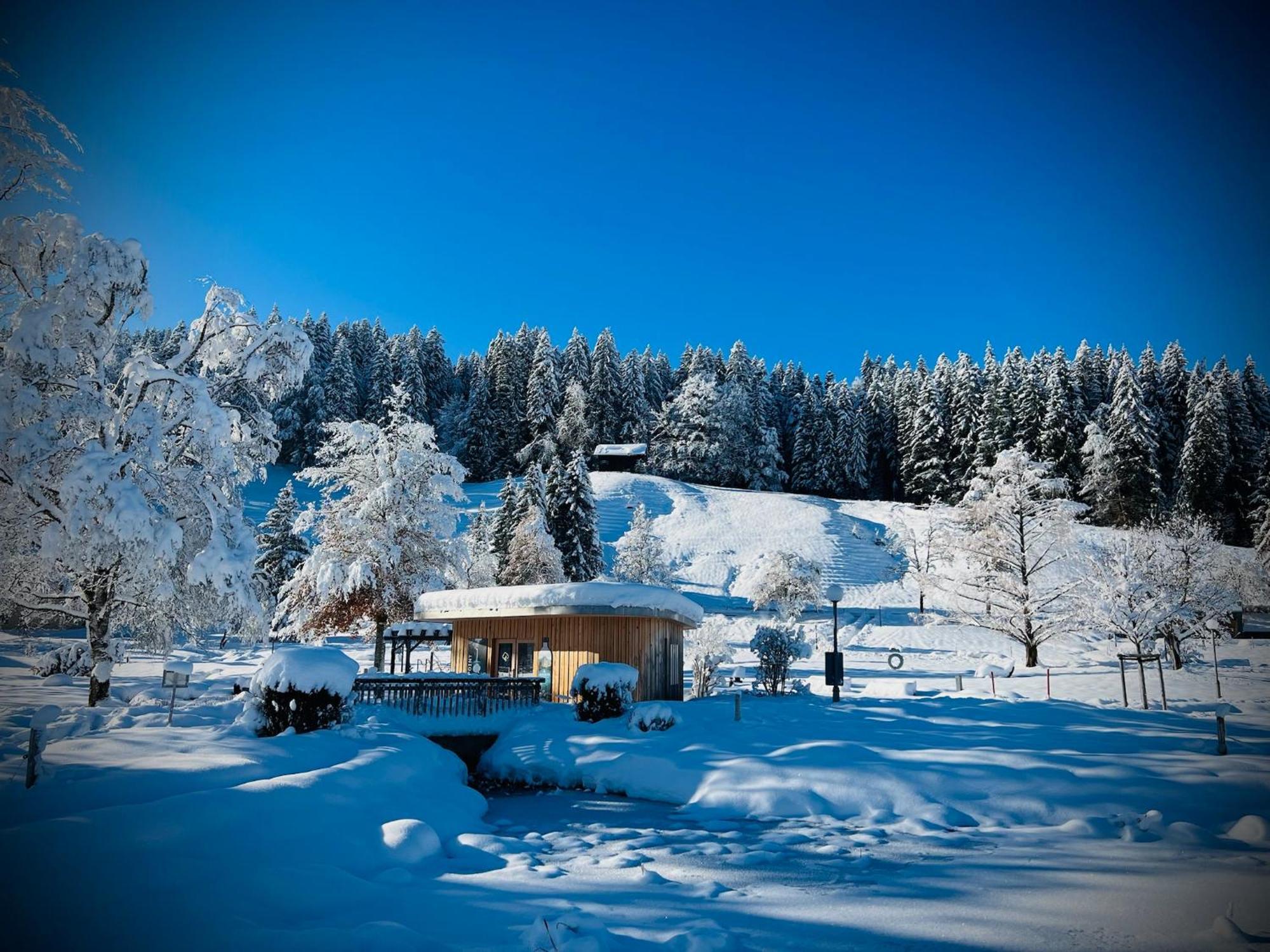 Ferienwohnung Sonneck Oberstaufen Εξωτερικό φωτογραφία